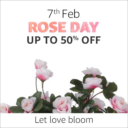 Amazon.in 7 February Rose Day